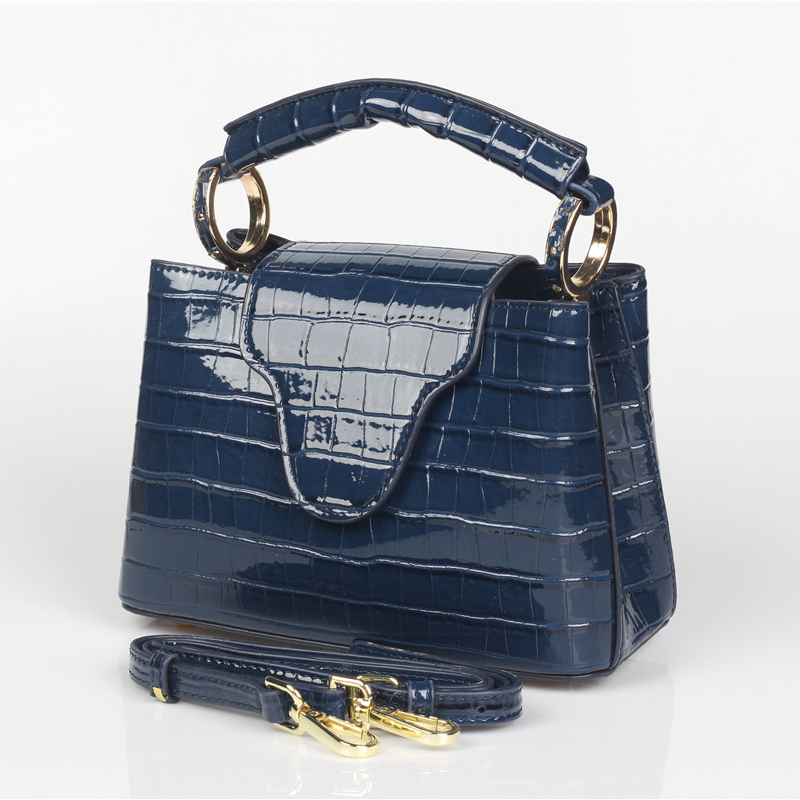 TOPHIGH Luxury Design Handbags - Women Bags Designer Sale 评论和价格