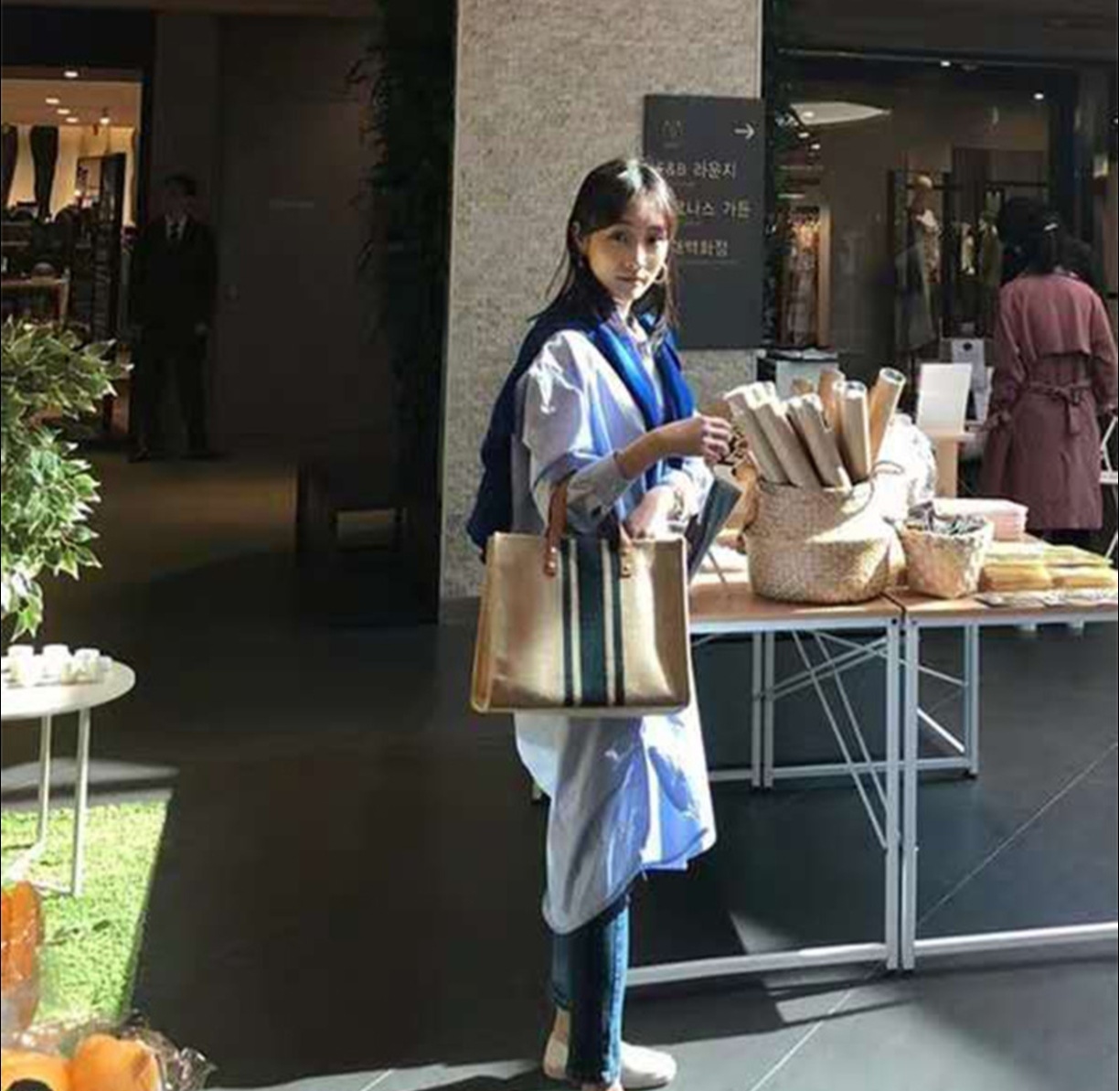 2026 New Striped Canvas Tote B - Women Hand Bags For Office 评论和价格